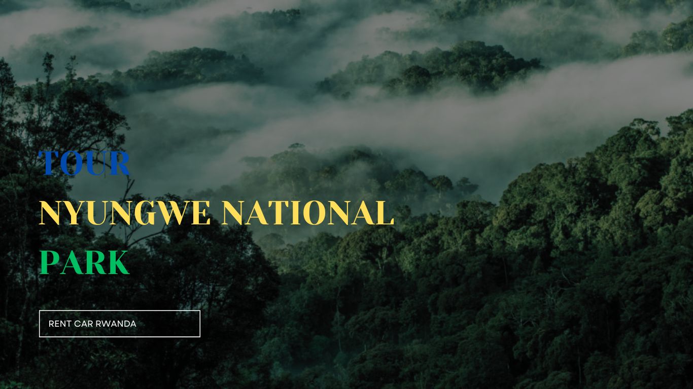 NYUNGWE NATIONAL PARK