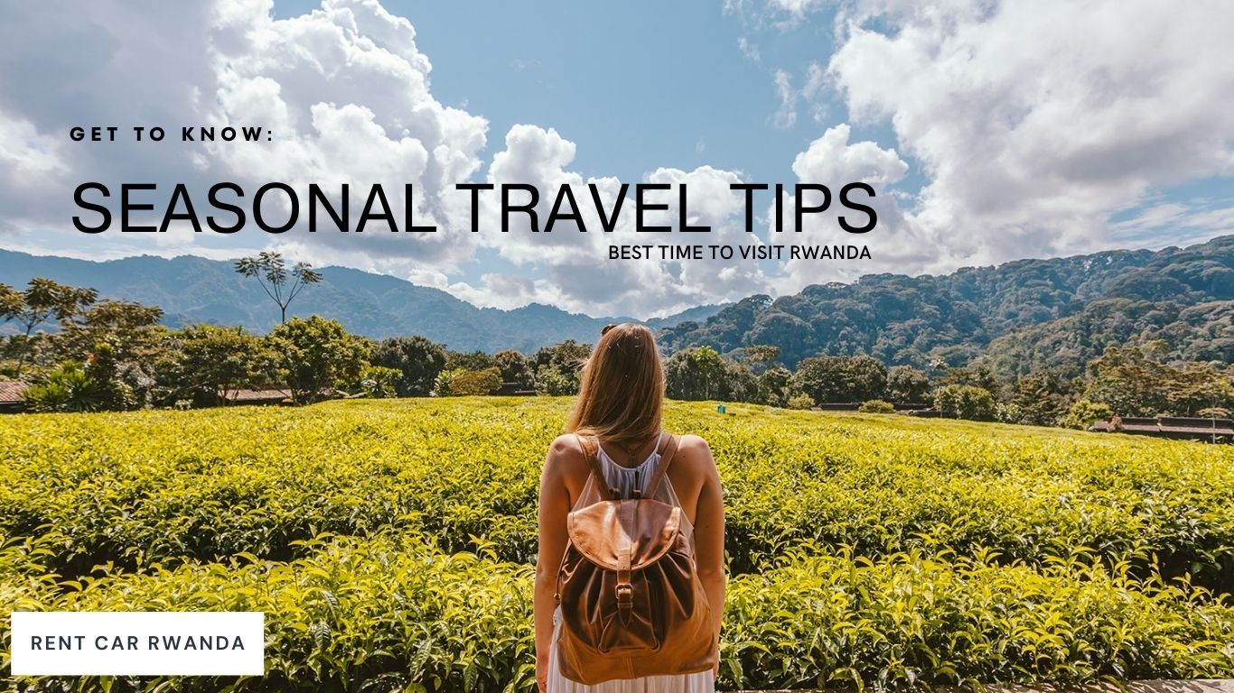 SEASONAL TRAVEL TIPS, BEST TIMES TO VISIT RWANDA.