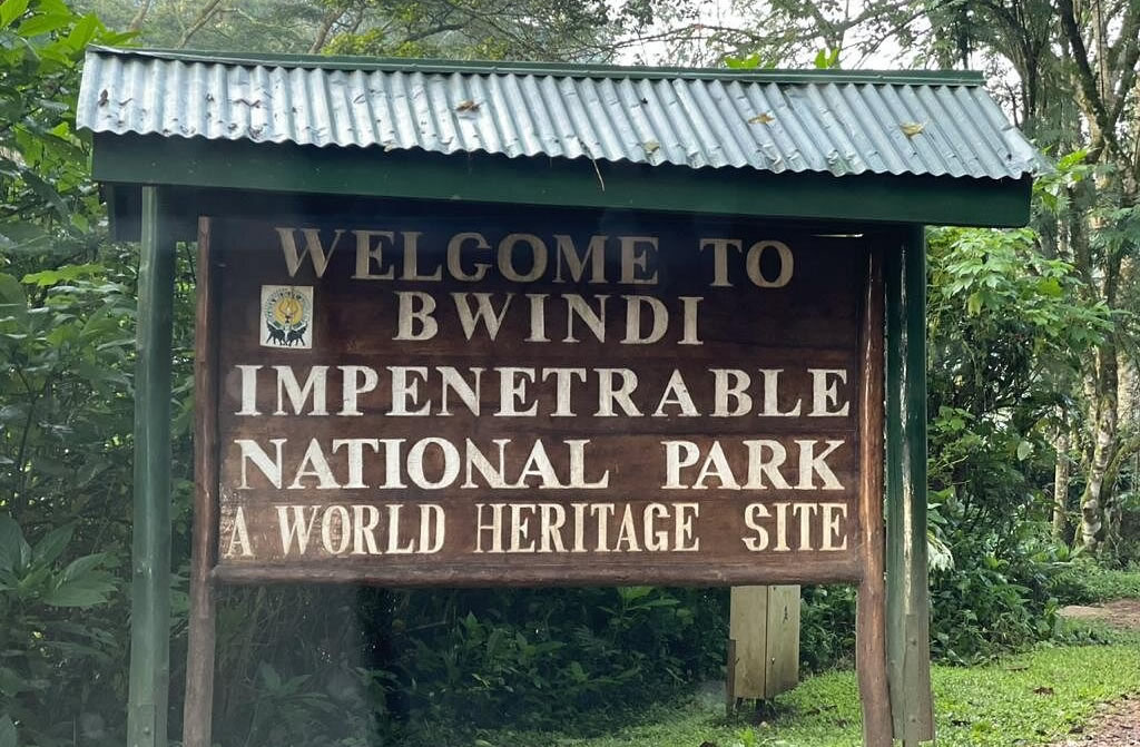 Bwindi Impenetrable National Park