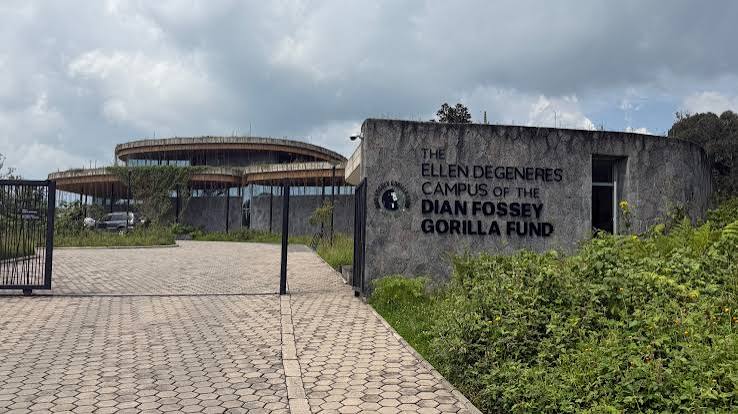 Kigali Airport to Musanze Gorilla Park Transfer by Car Hire