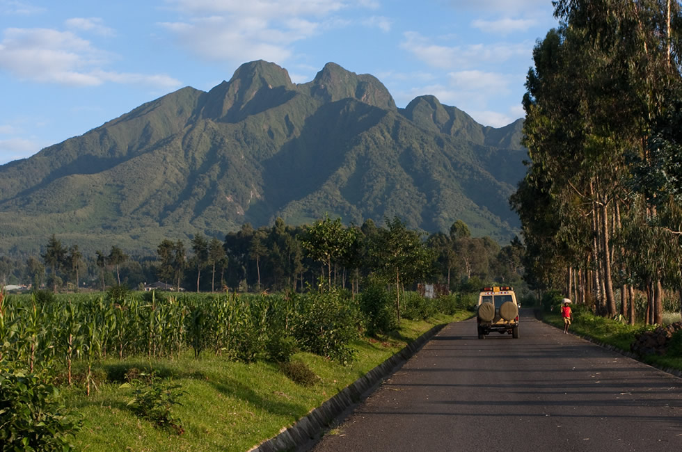 Top 5 Winter Safari Destinations in Rwanda - Rent Car Rwanda