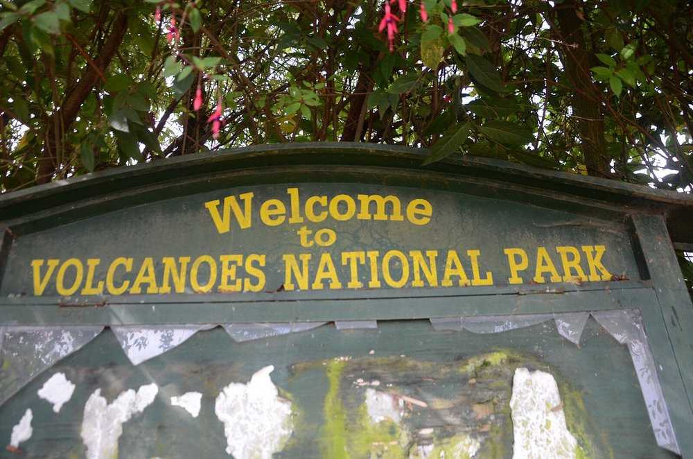How to Explore Rwanda's Beautiful Volcanoes in December by Car Rental