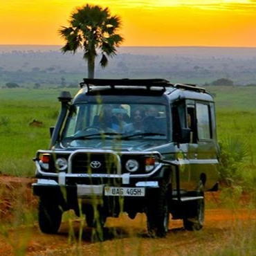 Safari Land Cruiser Rental Rwanda